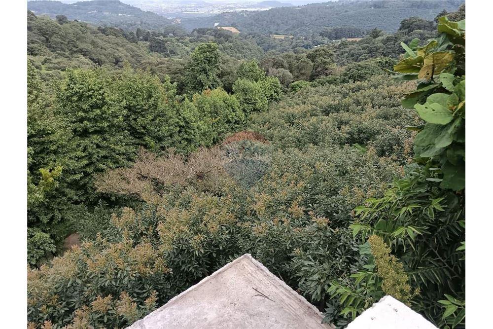 Land - For Sale - Santa Lucía Milpas Altas, Sacatepéquez, Guatemala - 4 - 90129016-42