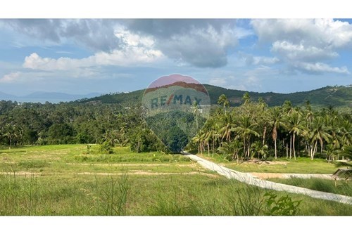 מכירה-אדמה-Maenam  -  Koh Samui, Surat Thani-920121030-235