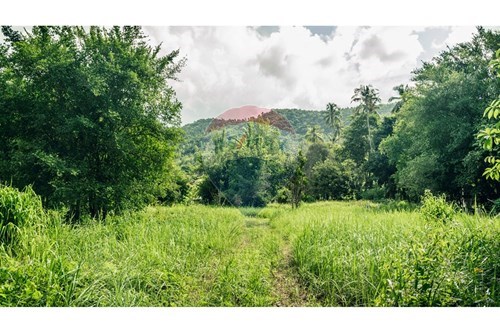 For Sale-Land - Residential-Lamai  -  Koh Samui, Surat Thani-920121068-58