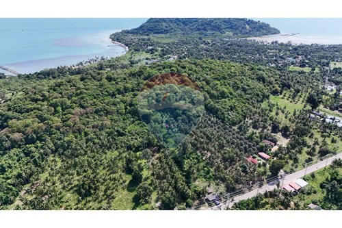 For Sale-Land - Residential-Koh Samui, Surat Thani-920121001-2909