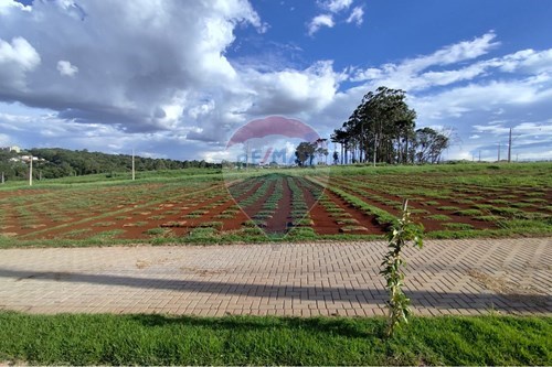 Venda-Terreno-Brasília , Cascavel , Paraná , 85812215-960151001-45