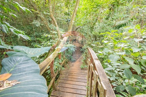 Slider Image Thumbnail