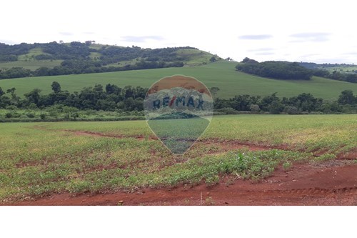 Venda-Chácara / Sítio / Fazenda-Centro , Londrina , Paraná , 86120000-960161001-27