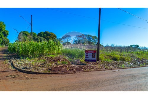 Venda-Terreno-Centro , Tupãssi , Paraná , 85946018-960131018-100