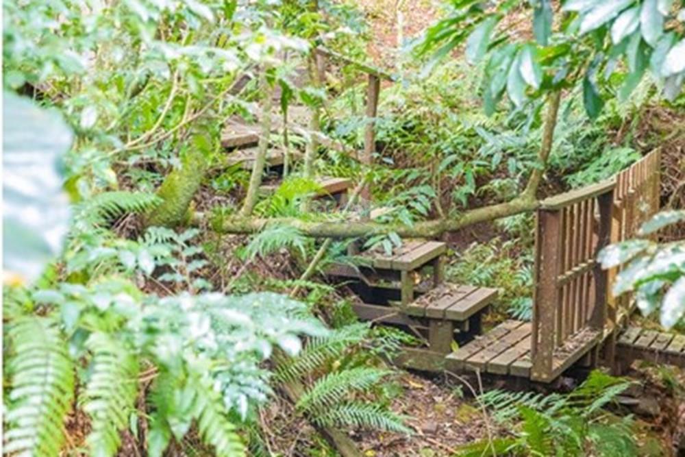 Casa - Venda - Cascavel , Paraná - IMG_9393.jpg - 960151041-6