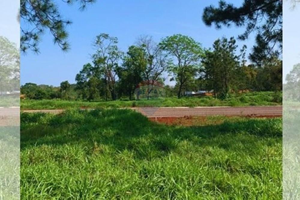 Terreno - Venda - Foz do Iguaçu , Paraná - Post para Instagram Baile do Brabo Neon Preto e Amarelo (8,6 x 5,4 cm) (1).jpg - 960181038-4