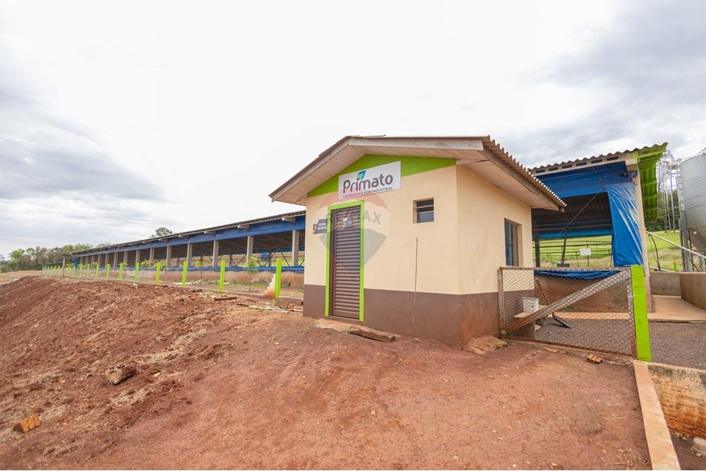 Chácara / Sítio / Fazenda - Venda - Toledo , Paraná - IMG_8546 (1).jpg - 960131012-76