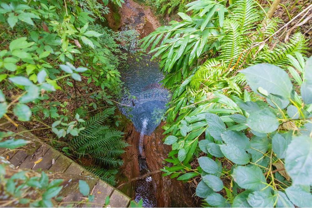 Casa - Venda - Cascavel , Paraná - IMG_9377.jpg - 960151041-6