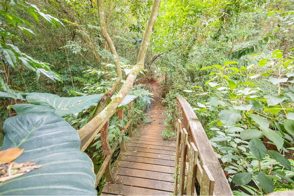 Casa - Venda - Cascavel , Paraná - IMG_9374.jpg - 960151041-6