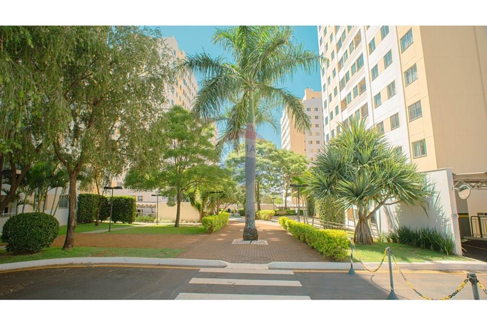 Apartamento - Venda - Londrina , Paraná - DSC00791.jpg - 960201003-2