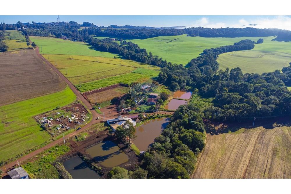Chácara / Sítio / Fazenda - Venda - Ibema , Paraná - DJI_0841.jpg - 960131023-21