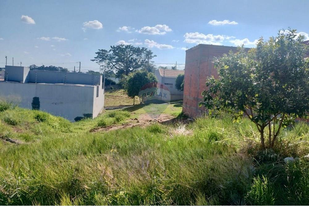 Terreno - Venda - Umuarama , Paraná - Imagem do WhatsApp de 2025-07-24 à(s) 09.49.33_c74317fc.jpg - 960171005-53