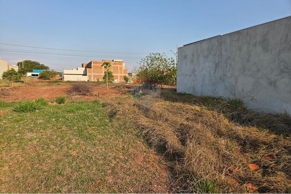 Terreno - Venda - Umuarama , Paraná - 20251005_170313(0).jpg - 960171003-27