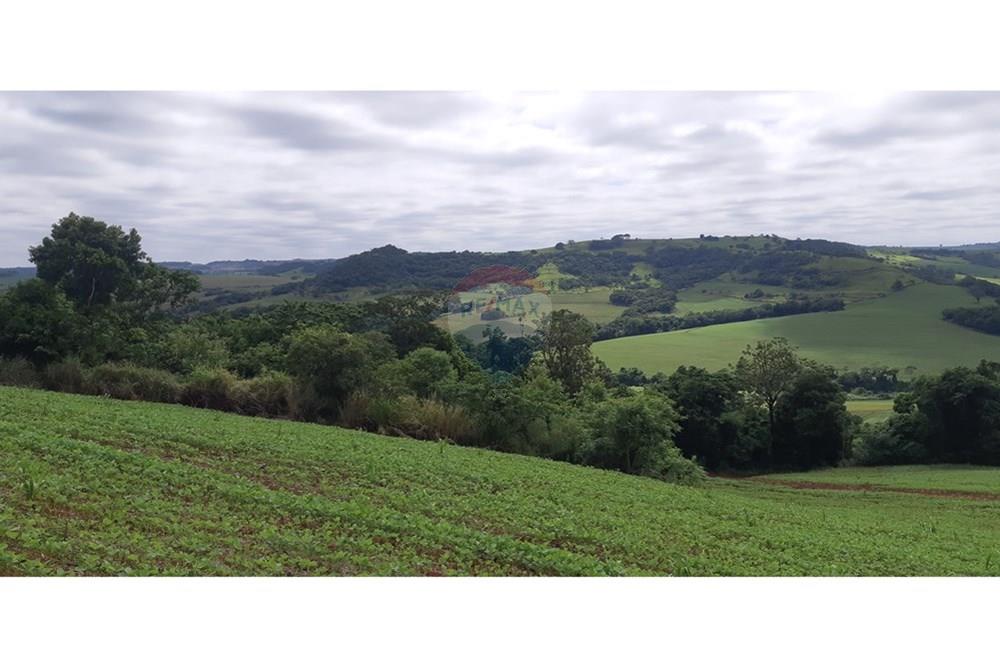 Chácara / Sítio / Fazenda - Venda - Londrina , Paraná - 20241205_093928.jpg - 960161001-27
