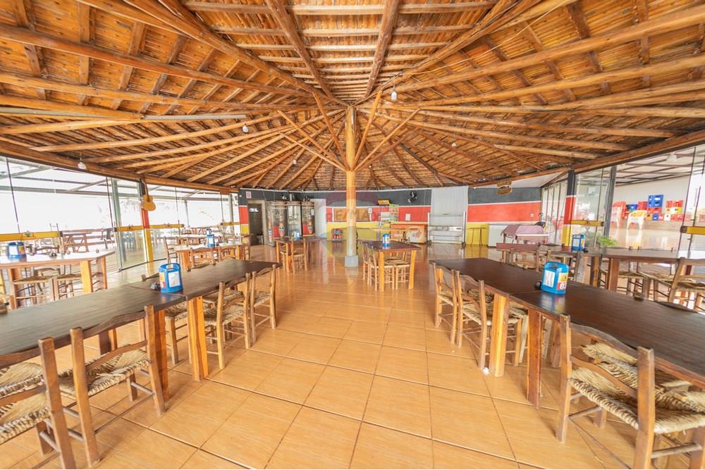 Chácara / Sítio / Fazenda - Venda - Ibema , Paraná - IMG_0785.jpg - 960131023-21