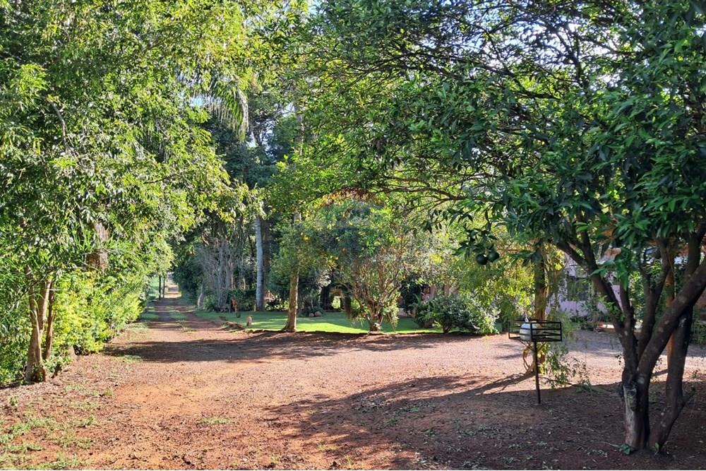 Chácara / Sítio / Fazenda - Venda - Foz do Iguaçu , Paraná - WhatsApp Image 2025-03-10 at 10.28.42.jpeg - 960101024-24