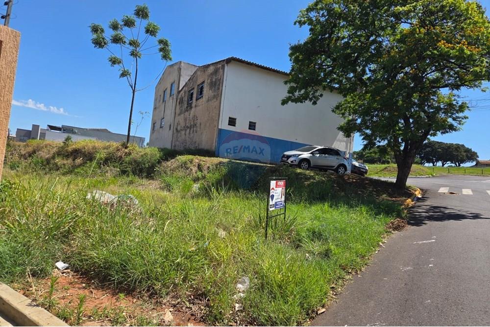 Terreno - Venda - Umuarama , Paraná - 4.jpeg - 960171007-31