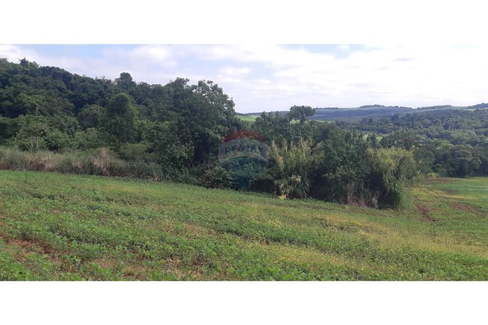 Chácara / Sítio / Fazenda - Venda - Londrina , Paraná - 20241205_091342.jpg - 960161001-27