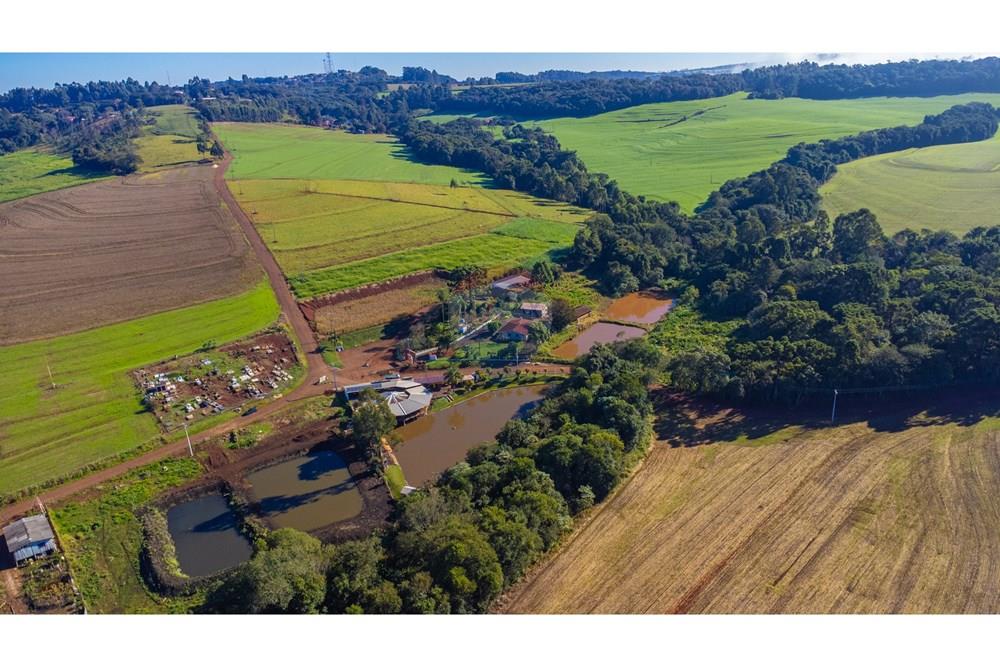 Chácara / Sítio / Fazenda - Venda - Ibema , Paraná - DJI_0842.jpg - 960131023-21