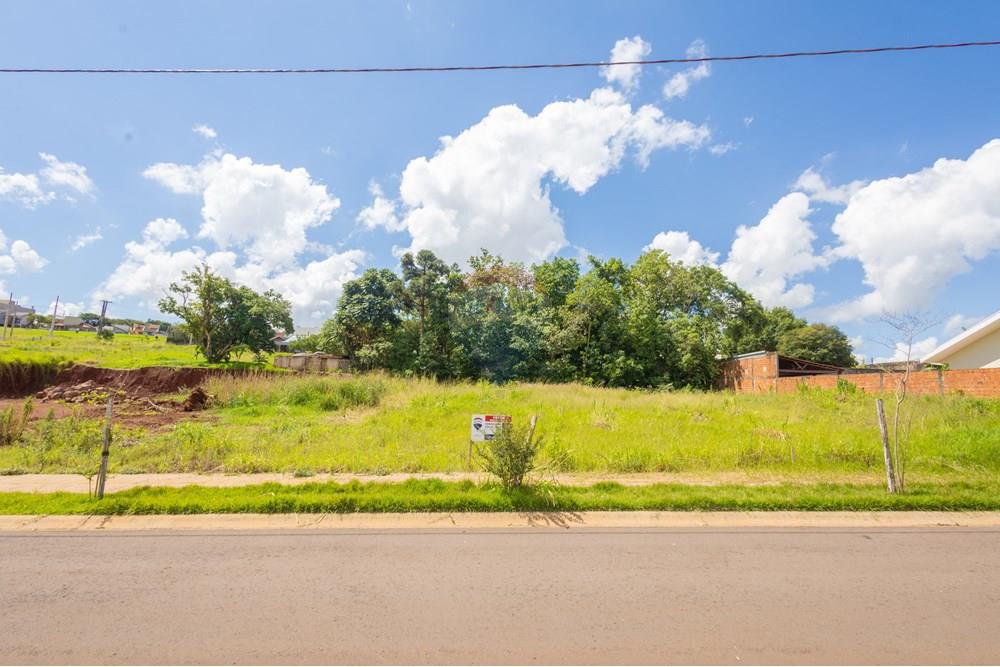 Terreno - Venda - Toledo , Paraná - IMG_6049.jpg - 960131016-32