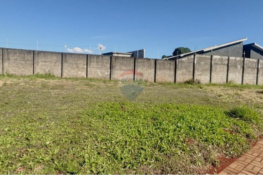 Terreno - Venda - Foz do Iguaçu , Paraná - WhatsApp Image 2025-07-29 at 12.12.25.jpeg - 960181011-11