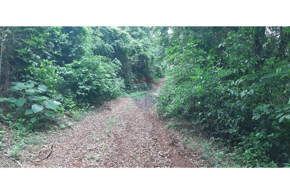 Chácara / Sítio / Fazenda - Venda - Londrina , Paraná - 20241205_094306.jpg - 960161001-27