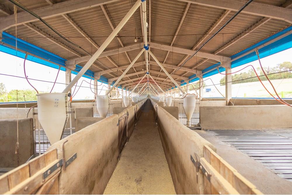 Chácara / Sítio / Fazenda - Venda - Toledo , Paraná - IMG_8551 (2).jpg - 960131012-76