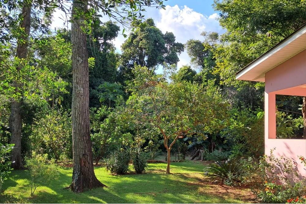 Chácara / Sítio / Fazenda - Venda - Foz do Iguaçu , Paraná - WhatsApp Image 2025-03-10 at 10.28.40.jpeg - 960101024-24