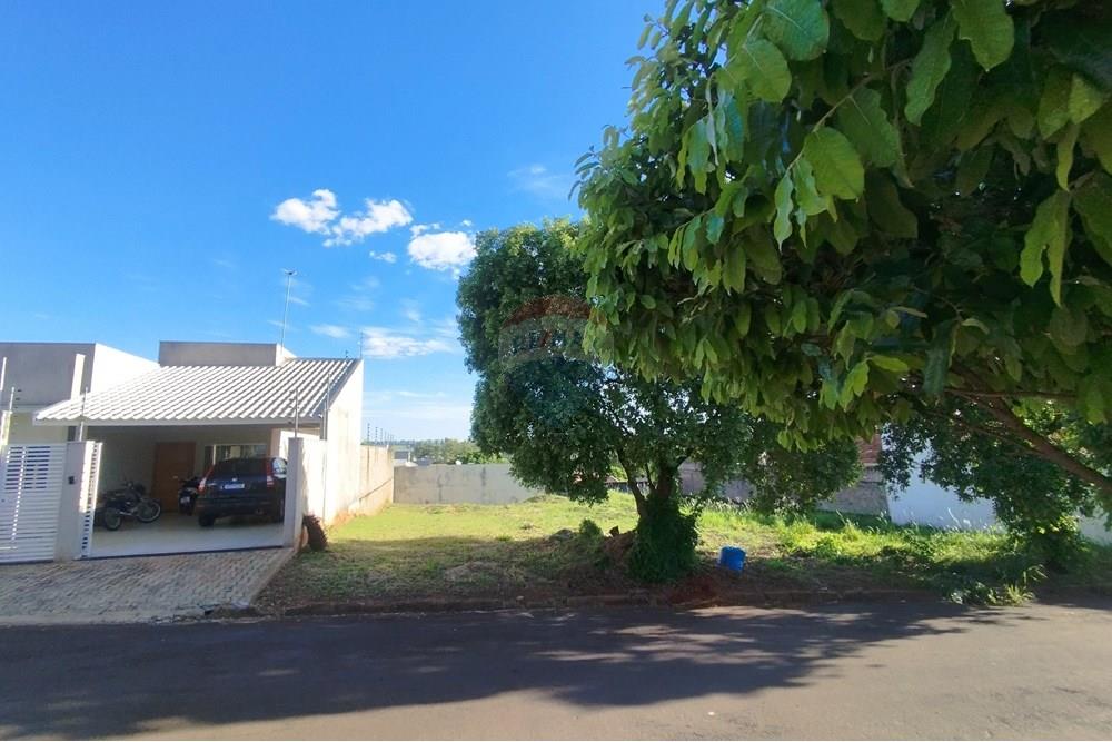 Terreno - Venda - Umuarama , Paraná - IMG_20251021_170611.jpg - 960171006-23