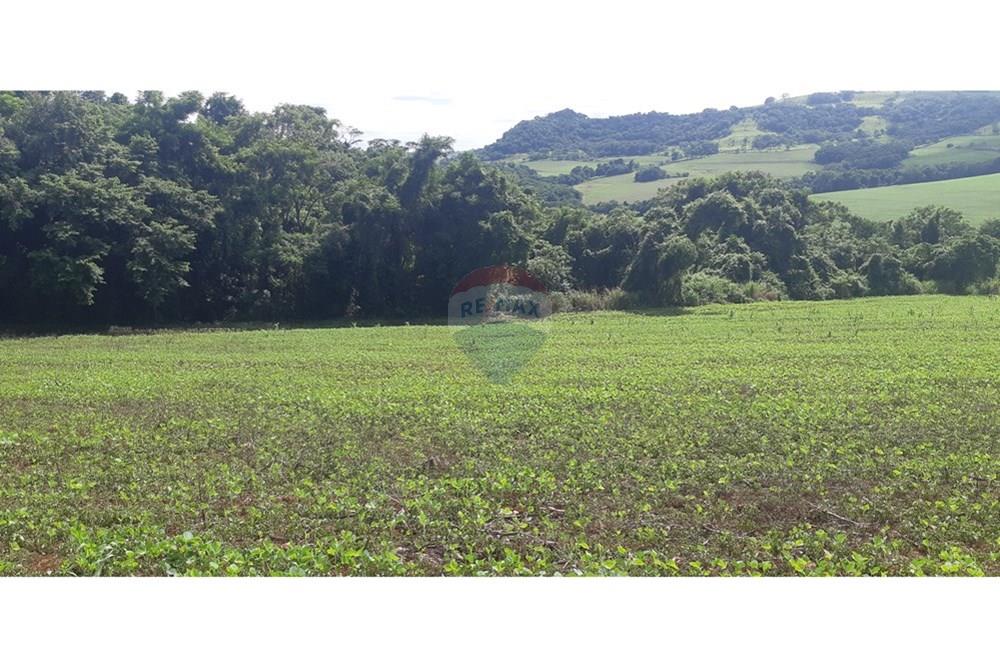 Chácara / Sítio / Fazenda - Venda - Londrina , Paraná - 20241205_091743 (1).jpg - 960161001-27