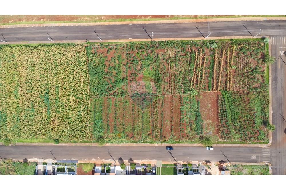 Terreno - Venda - São Pedro do Iguaçu , Paraná - DJI_0519.jpg - 960131018-72