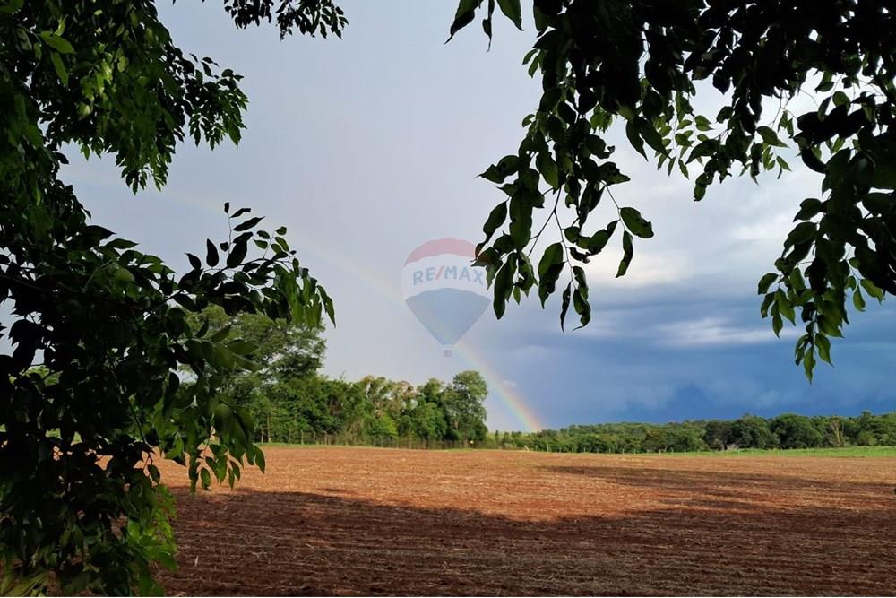 Chácara / Sítio / Fazenda - Venda - Foz do Iguaçu , Paraná - WhatsApp Image 2025-03-10 at 10.28.49.jpeg - 960101024-24
