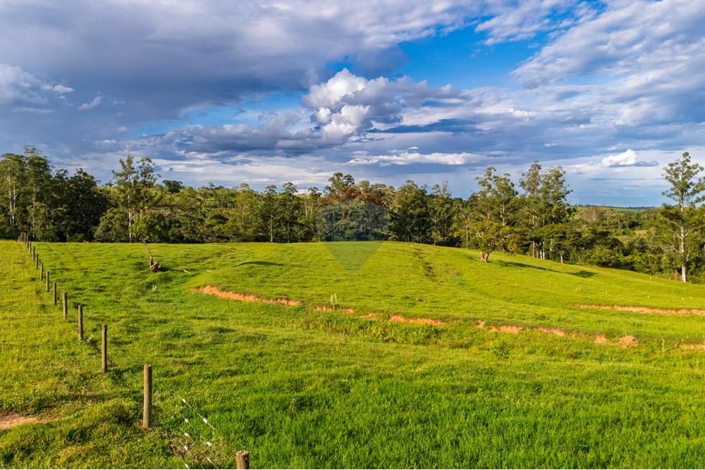 Chácara / Sítio / Fazenda - Venda - Umuarama , Paraná - CHÁCARAS - ILSON GALLI_21.jpg - 960171002-21