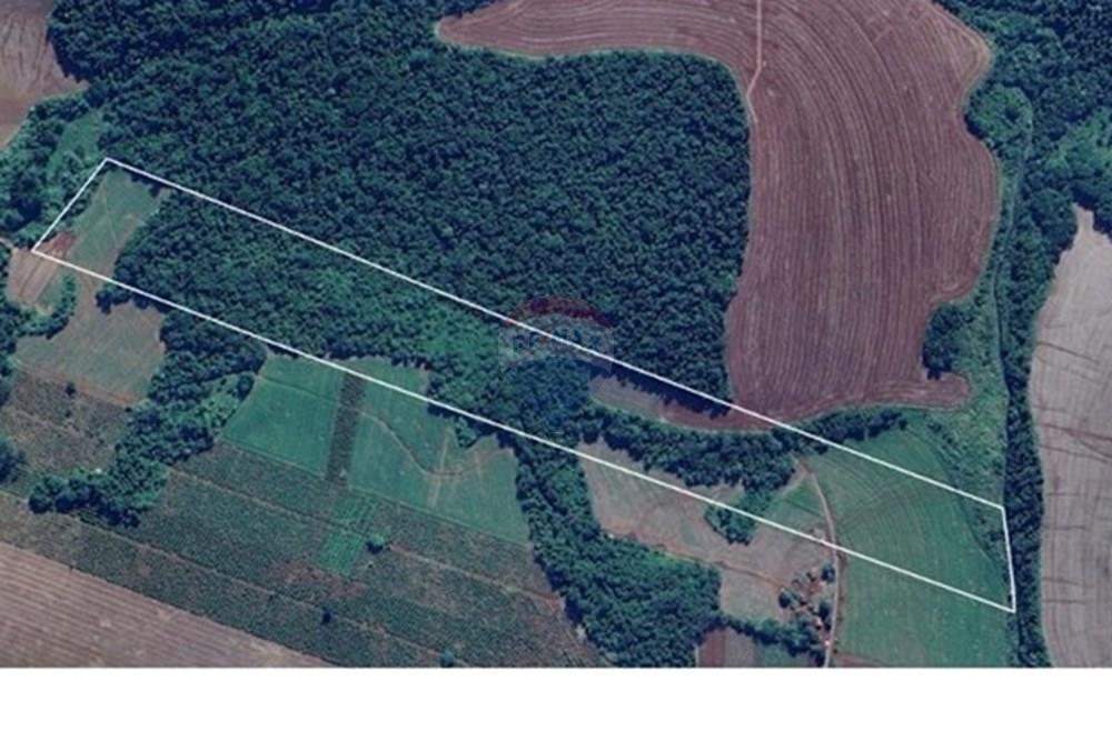 Chácara / Sítio / Fazenda - Venda - Londrina , Paraná - fe2cd074-f564-4469-b6c7-cbe1599fa6cd.jpg - 960161001-27