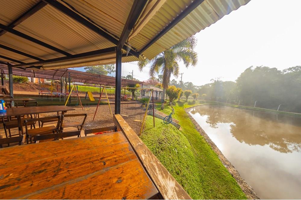 Chácara / Sítio / Fazenda - Venda - Ibema , Paraná - IMG_0797.jpg - 960131023-21