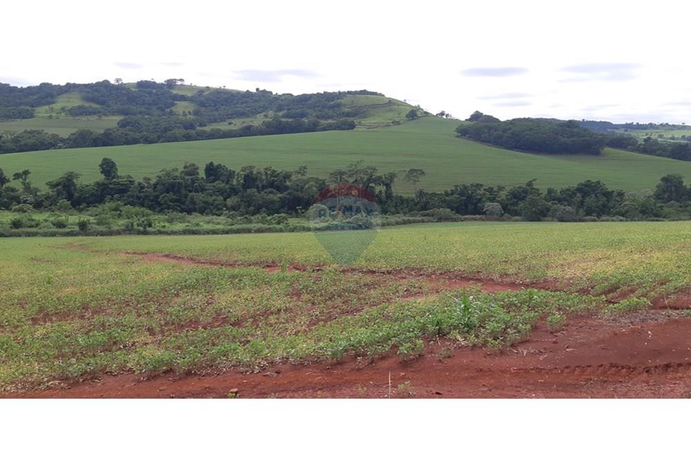 Chácara / Sítio / Fazenda - Venda - Londrina , Paraná - 20241205_095102 (1).jpg - 960161001-27