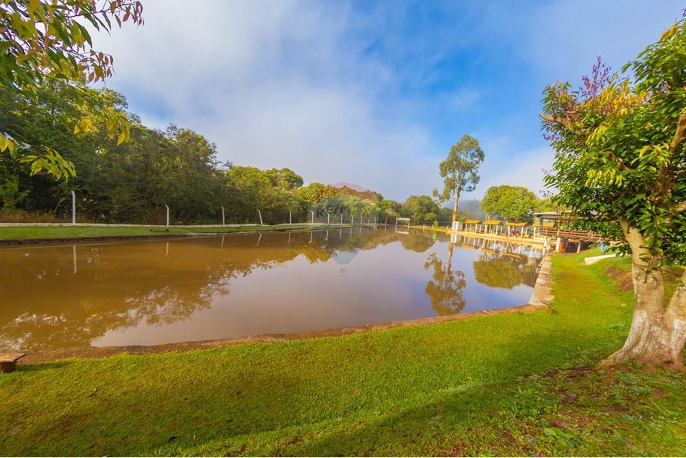Chácara / Sítio / Fazenda - Venda - Ibema , Paraná - IMG_0820.jpg - 960131023-21