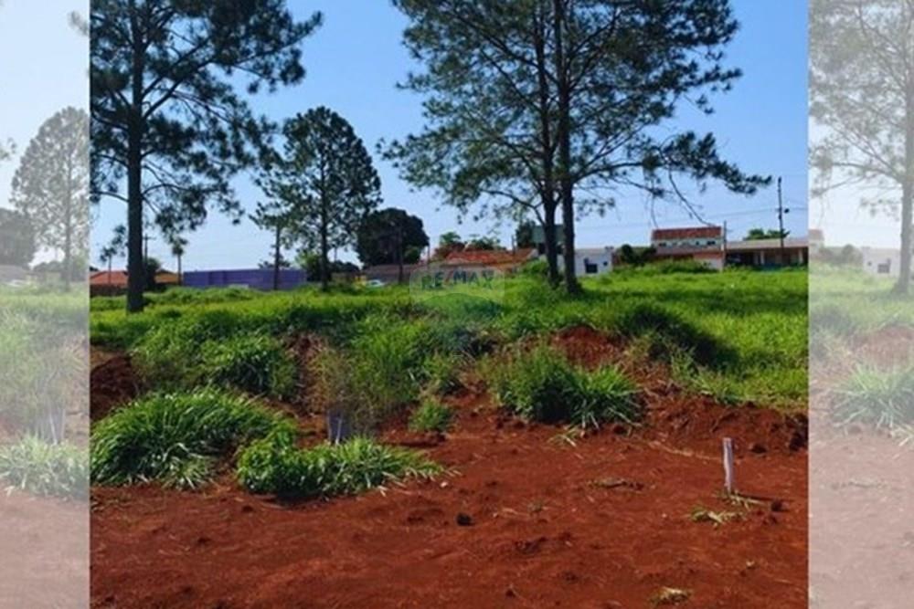 Terreno - Venda - Foz do Iguaçu , Paraná - Post para Instagram Baile do Brabo Neon Preto e Amarelo (8,6 x 5,4 cm).jpg - 960181038-4