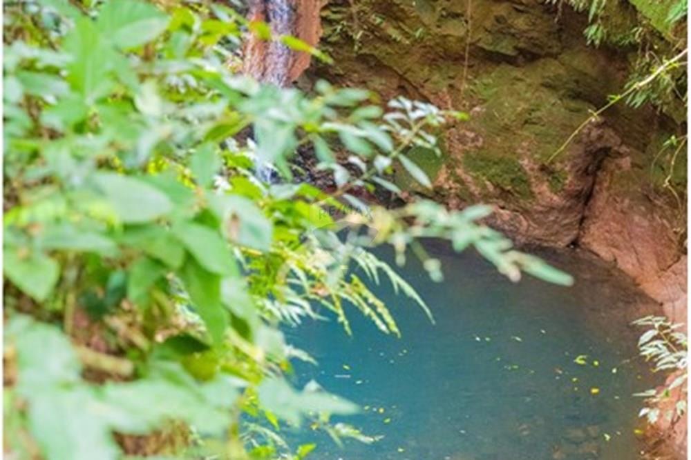 Casa - Venda - Cascavel , Paraná - IMG_9396.jpg - 960151041-6