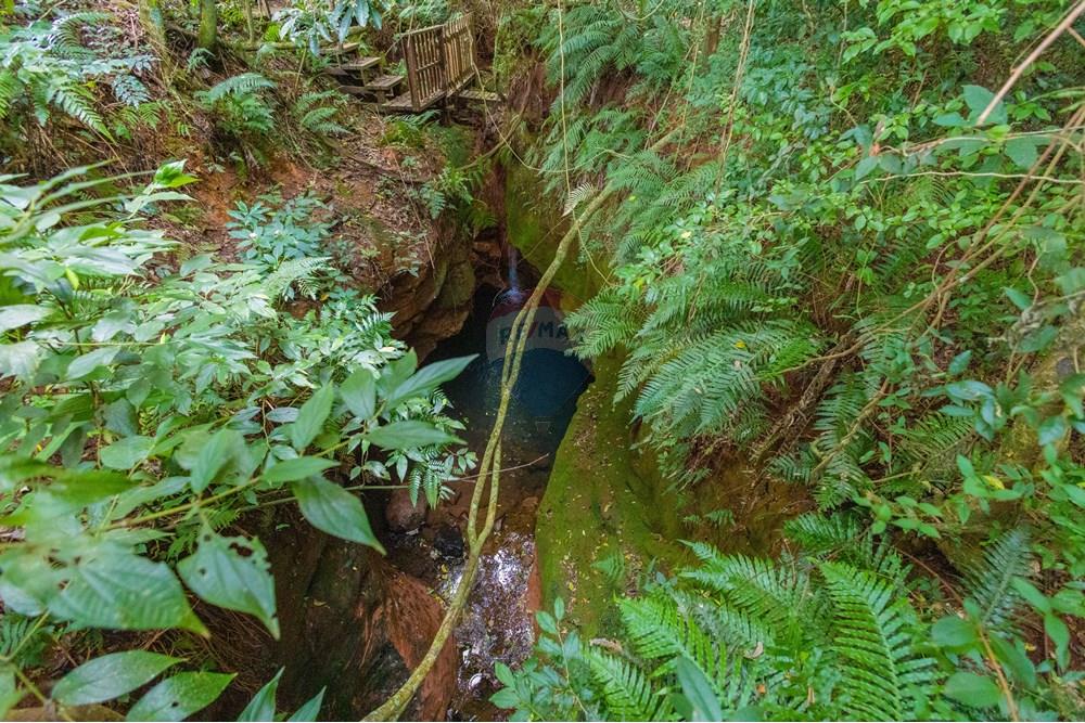 Casa - Venda - Cascavel , Paraná - IMG_9380.jpg - 960151041-6