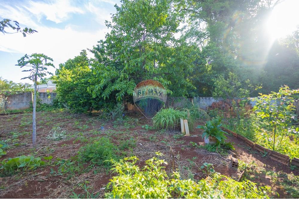 Casa - Venda - Toledo , Paraná - IMG_4421.jpg - 960131042-5