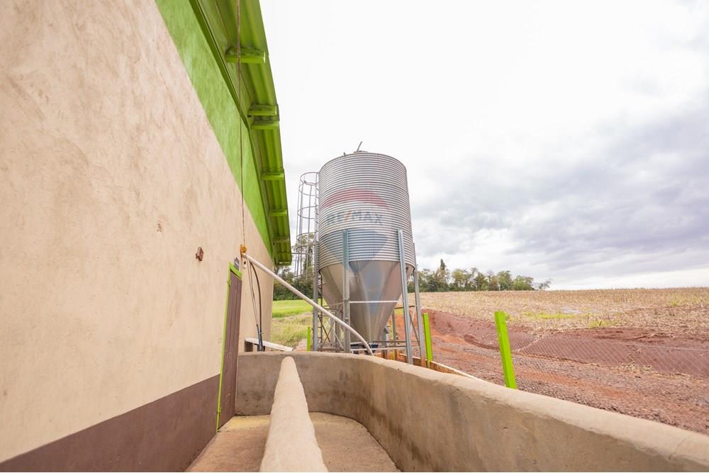 Chácara / Sítio / Fazenda - Venda - Toledo , Paraná - IMG_8549 (1).jpg - 960131012-76